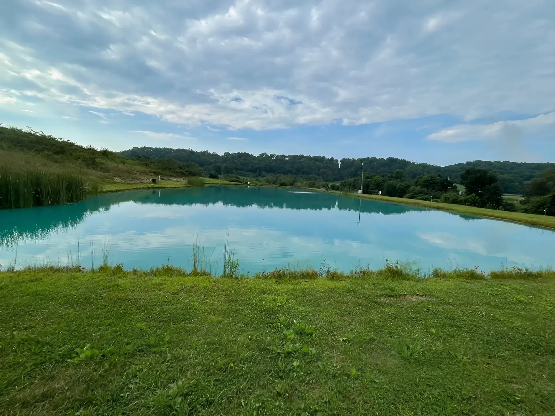 Scenic lake with grassy foreground and clouds.