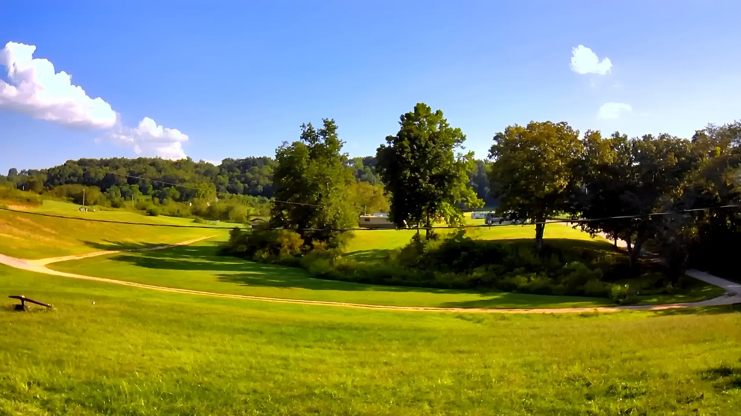 Green landscape with trees under blue sky.