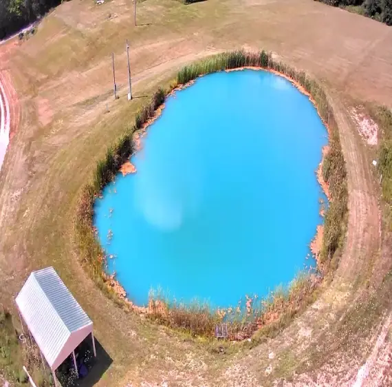 Rectangle-1212-3.png (1) (1)